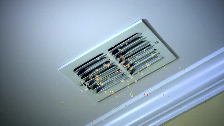 Best Affordable Air Duct Cleaning  in St Georges, DE