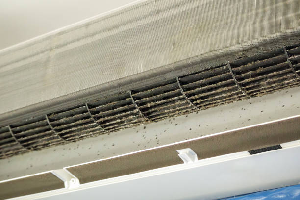 Home Air Vent Cleaning in DE